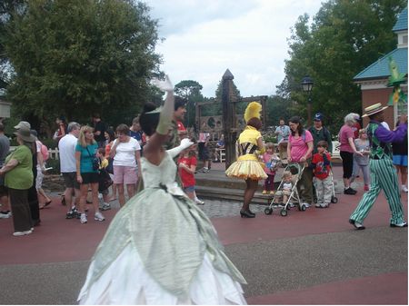 Walt Disney World's Magic Kingdom photo, from ThemeParkInsider.com